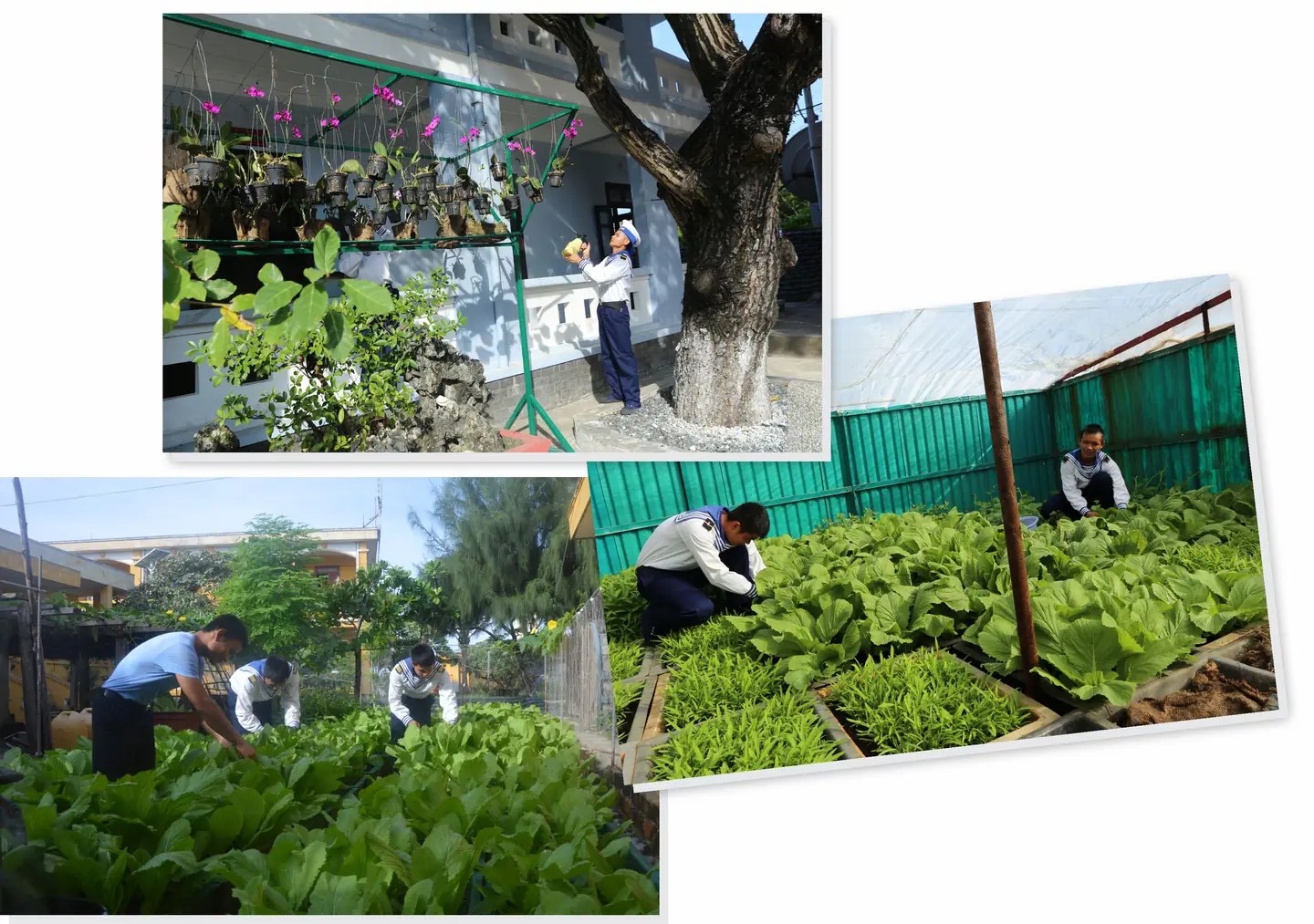 Đài PTTH Hà Nội